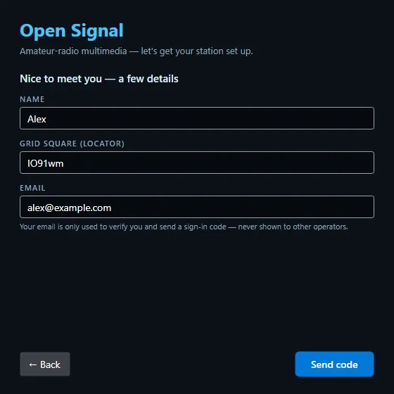The details step of the wizard, with fields for your name, grid square and email.